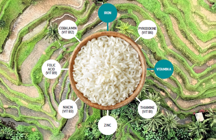 Rice Fortification – What Is It and What Can iCheck Do?