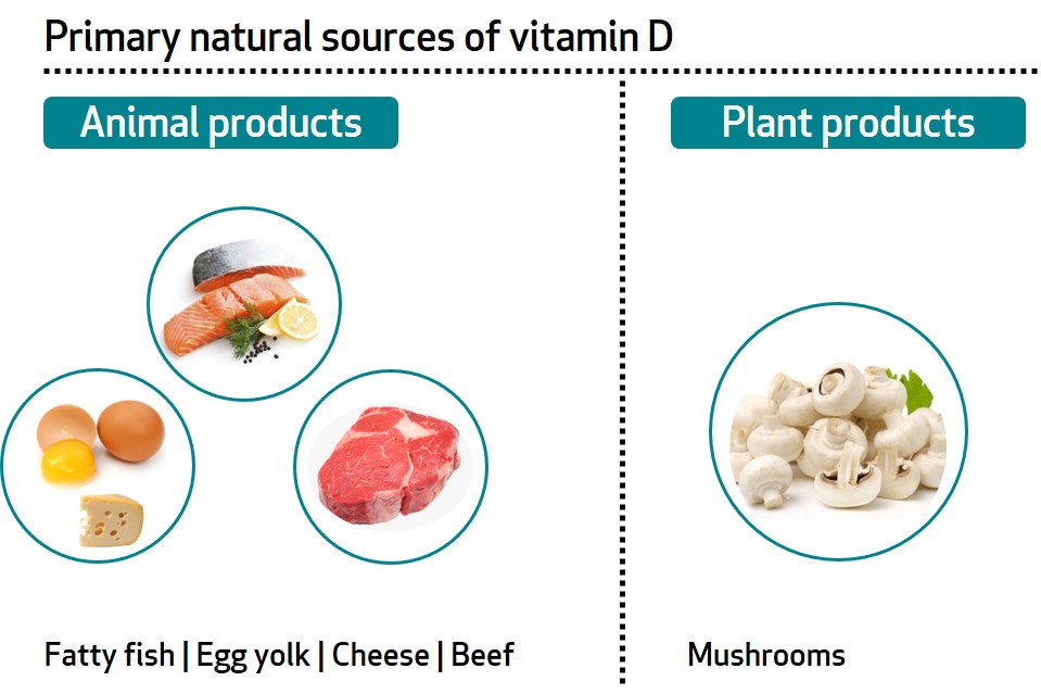 Learn About Your Vitamins and Minerals: Vitamin D and Calcium