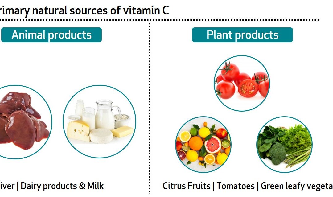 Learn About Your Vitamins and Minerals: Vitamin C and Zinc