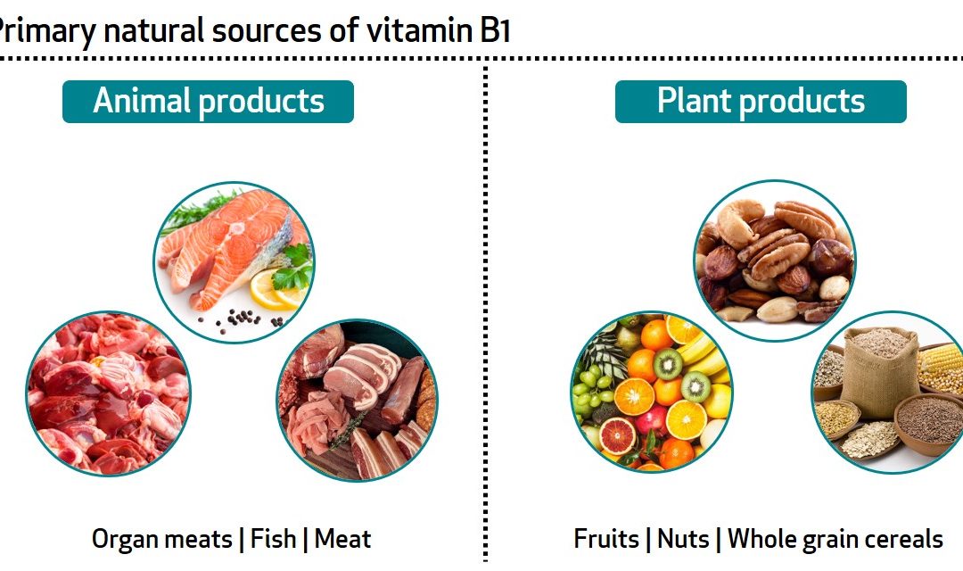 Learn About Your Vitamins and Minerals: Vitamin B1 and Magnesium