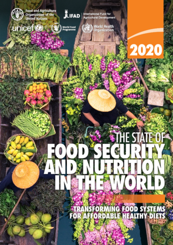 Key Points from The State of Food Security and Nutrition in the World (SOFI) 2020 Report