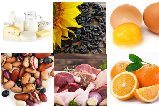 Learn About Your Vitamins and Minerals: Vitamin B9 and Phosphorus